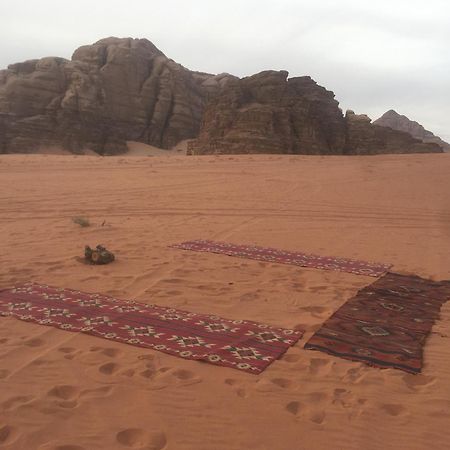 Wild Of Wadi Rum Zewnętrze zdjęcie