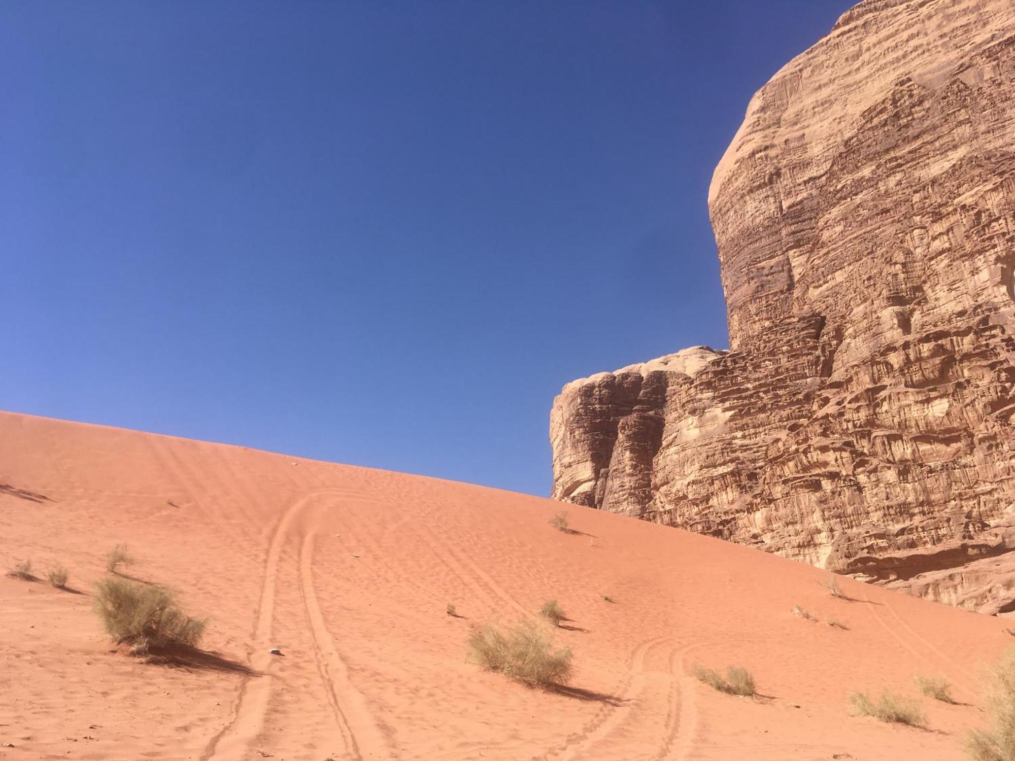 Wild Of Wadi Rum Zewnętrze zdjęcie