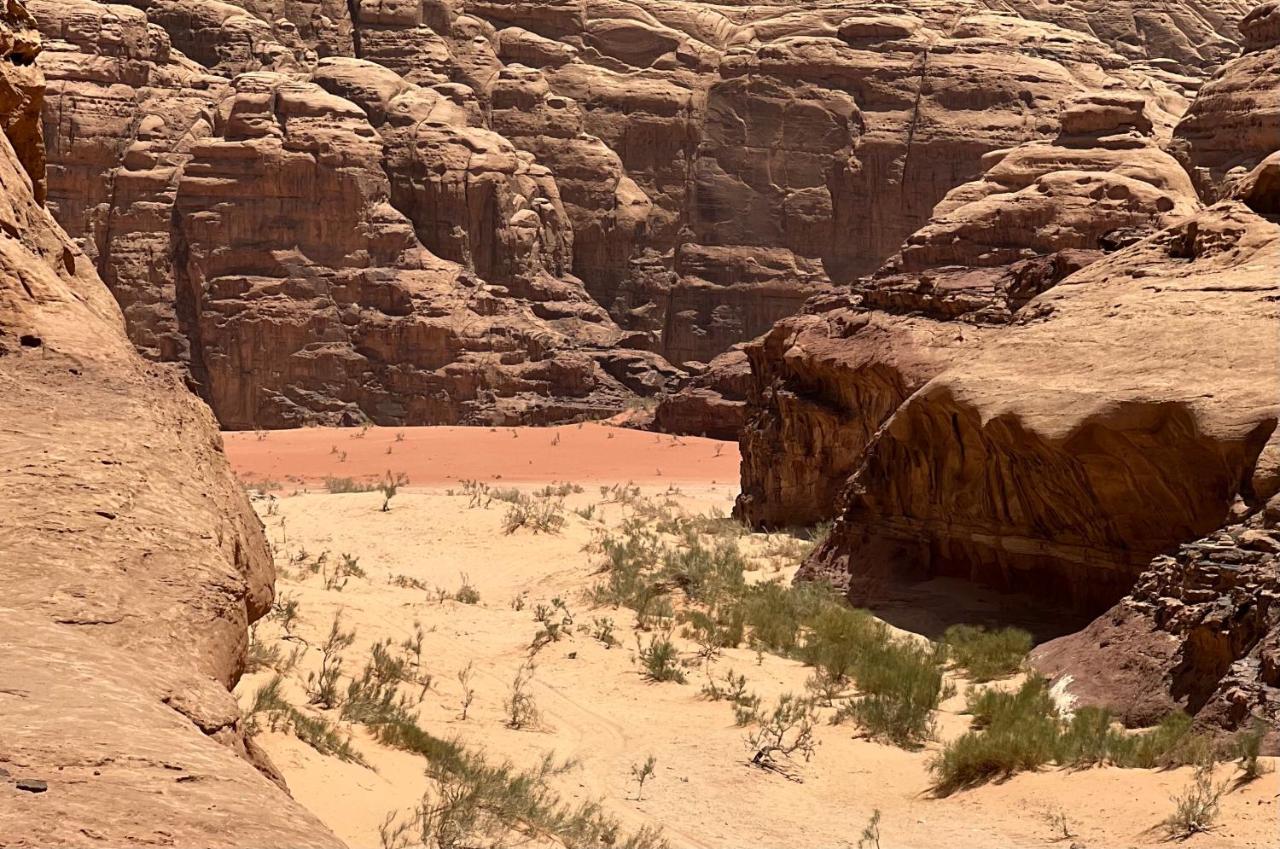 Wild Of Wadi Rum Zewnętrze zdjęcie