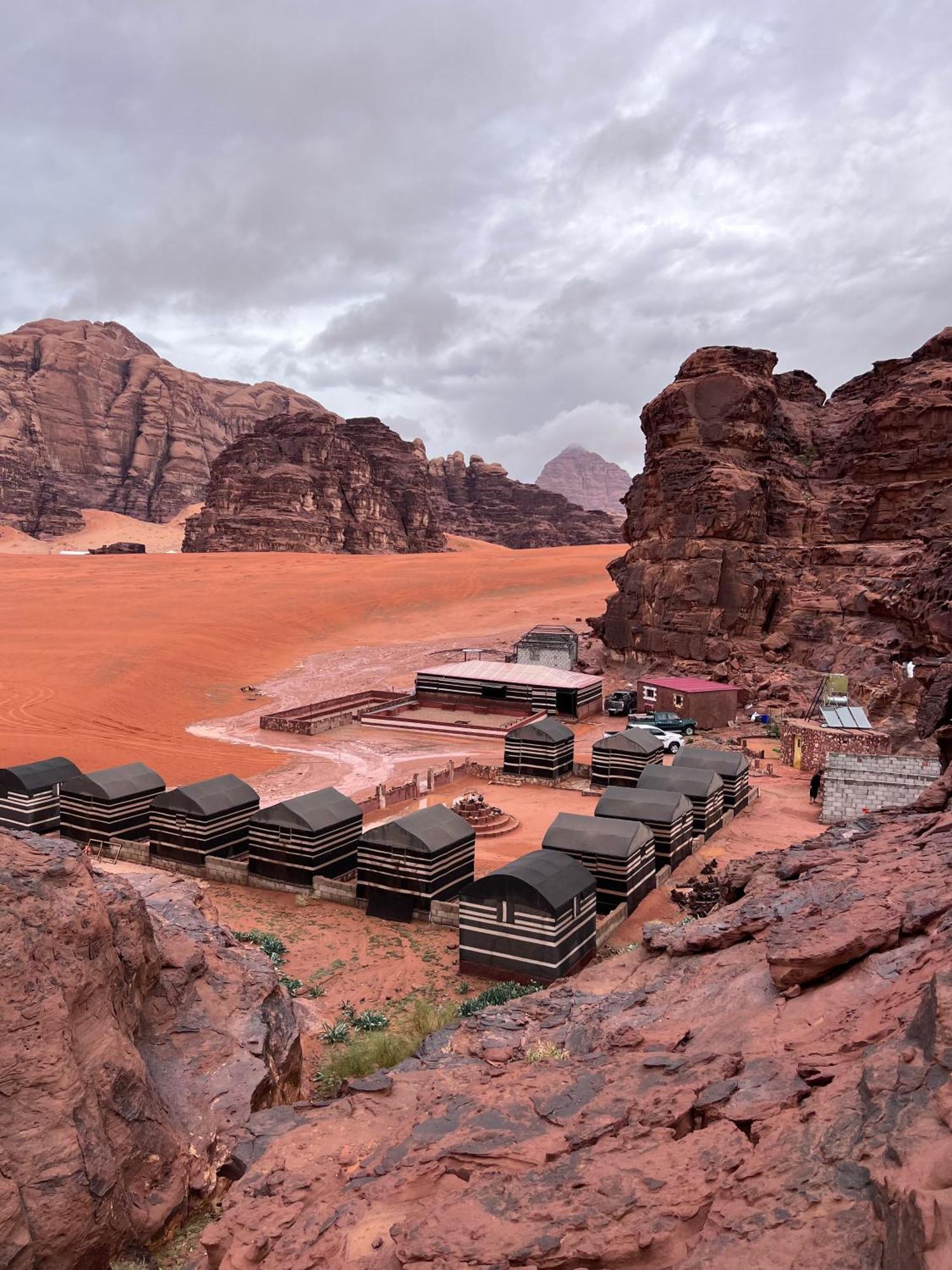 Wild Of Wadi Rum Zewnętrze zdjęcie