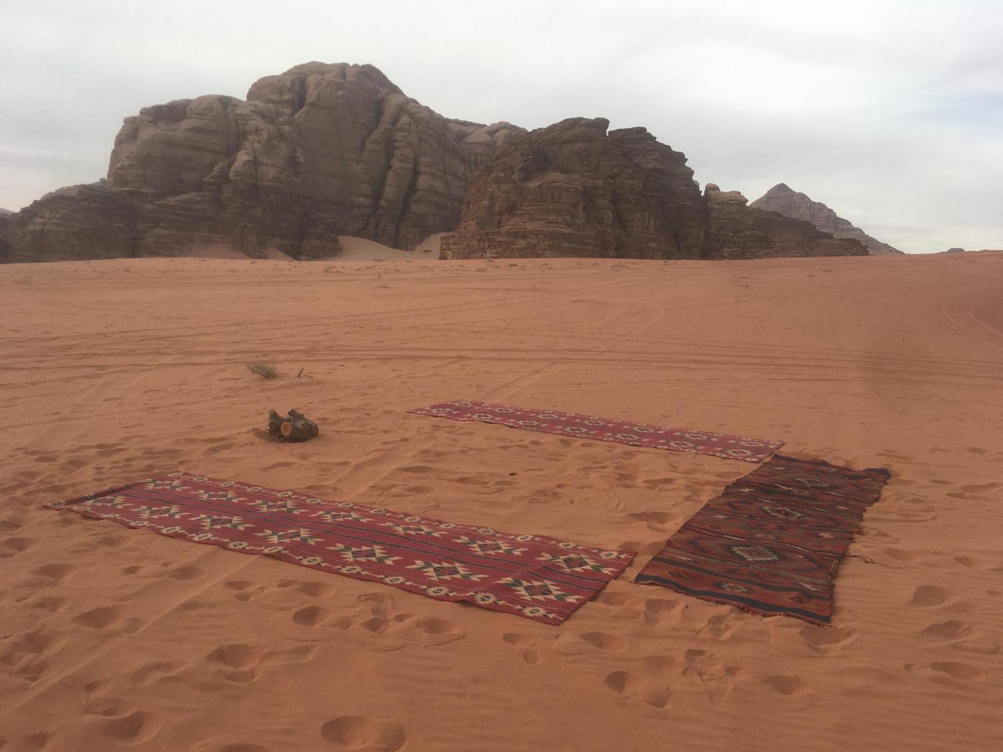 Wild Of Wadi Rum Zewnętrze zdjęcie