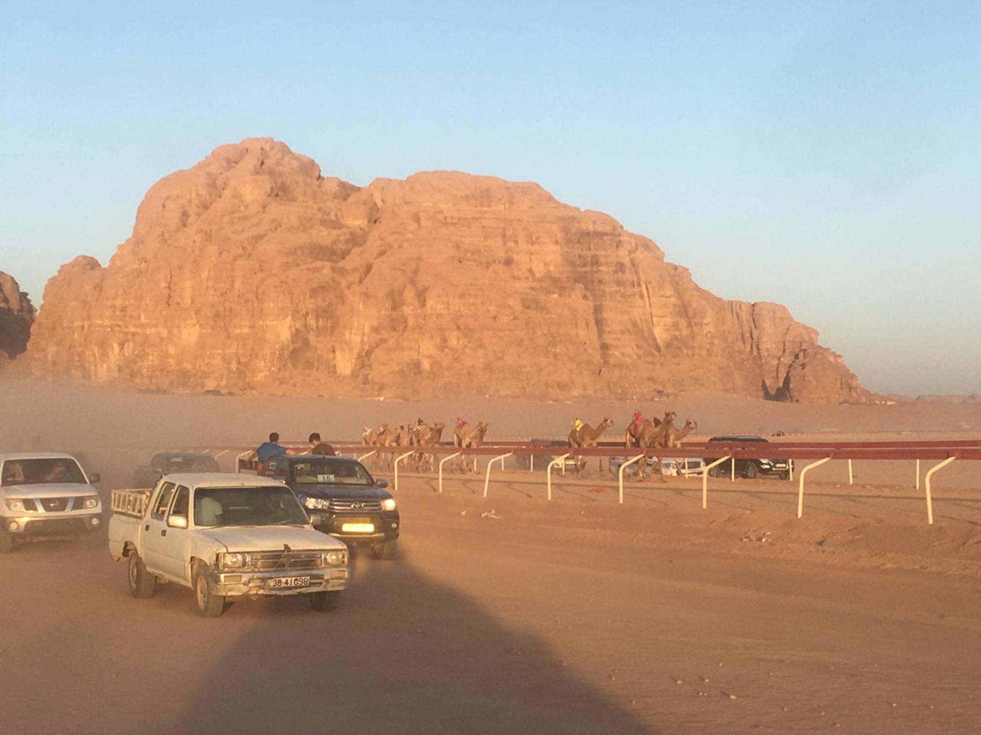 Wild Of Wadi Rum Zewnętrze zdjęcie