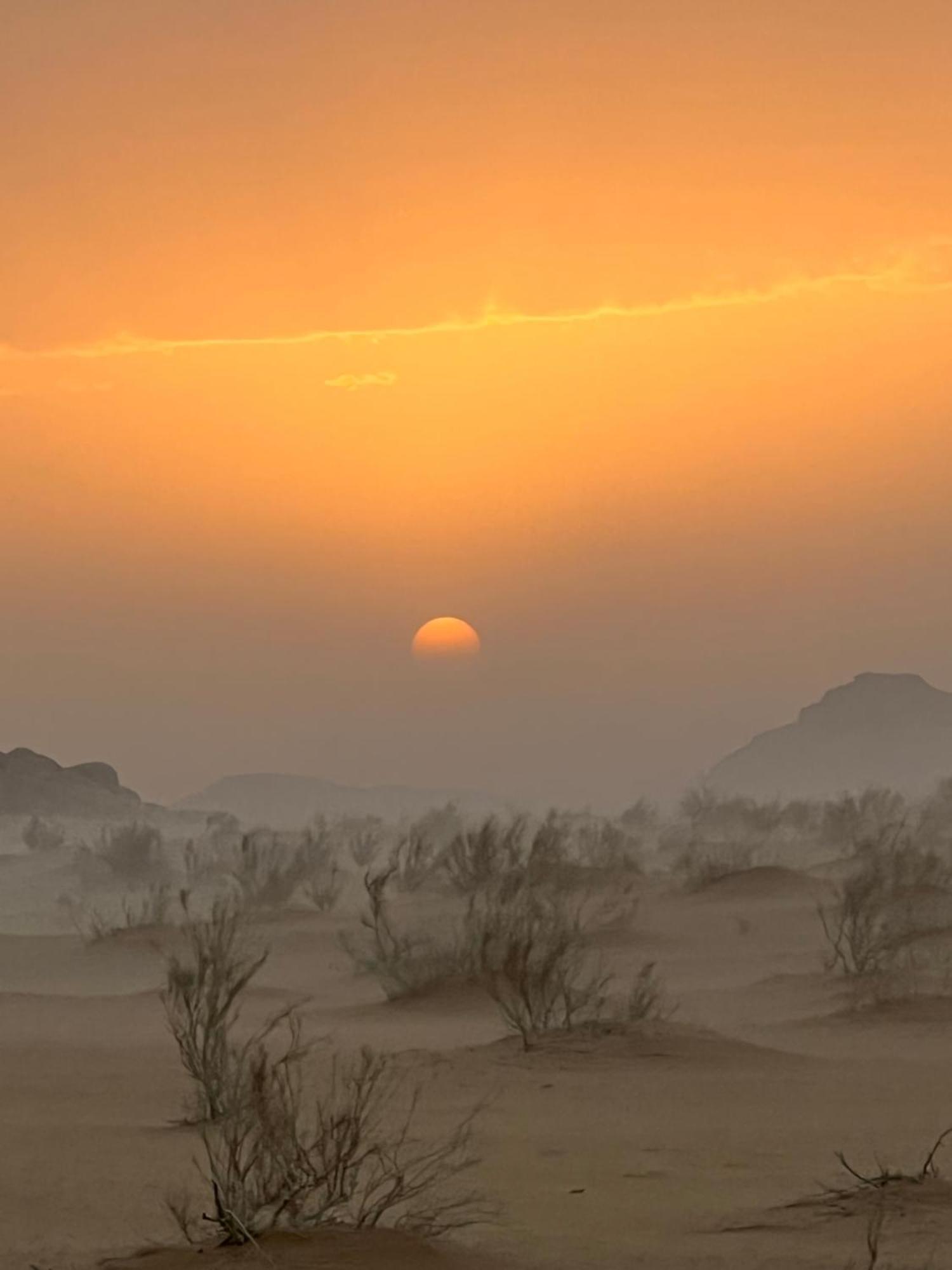 Wild Of Wadi Rum Zewnętrze zdjęcie